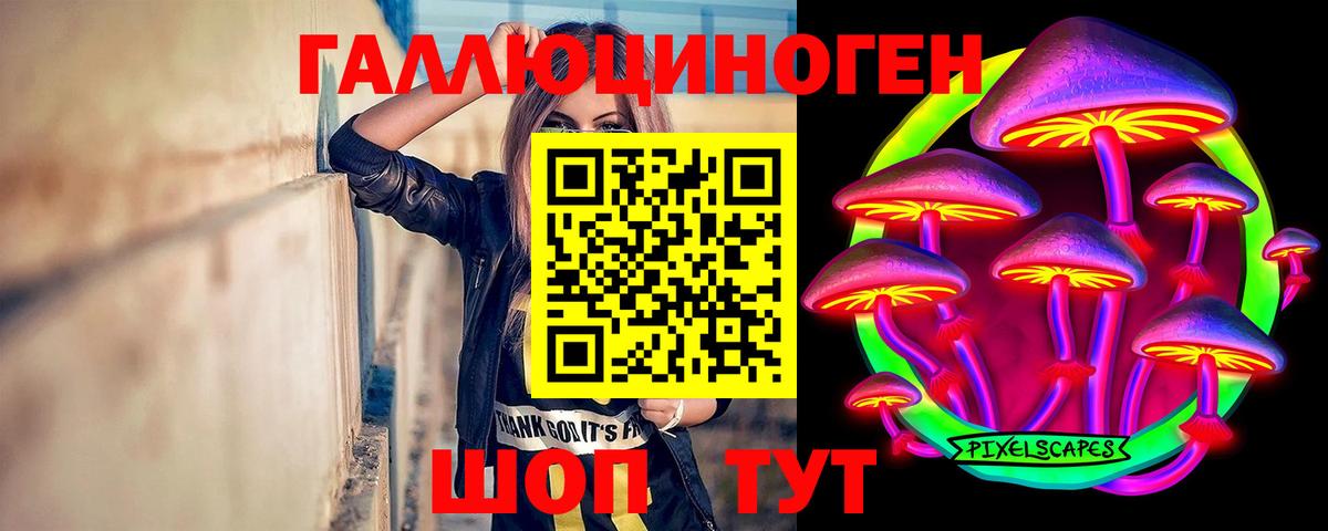 Кострома  Псилоцибиновые грибы GOLDEN TEACHER  Вход с VPN 